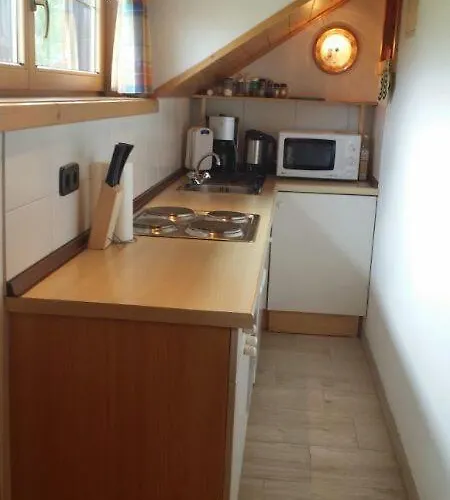 Apartment Haus Bergmann Mariapfarr